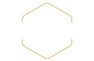 Motorcycles $0 - $9,999 Shop Now
